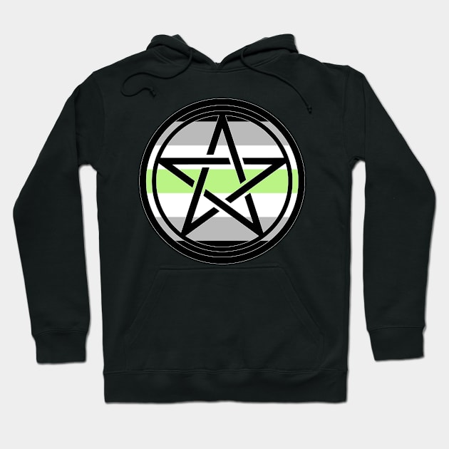 Small Print Pentacle LGBT Flag Agender Hoodie by aaallsmiles